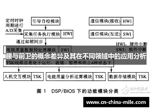 腰与前卫的概念差异及其在不同领域中的应用分析