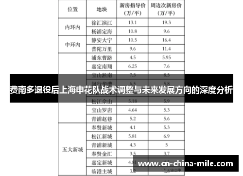 费南多退役后上海申花队战术调整与未来发展方向的深度分析
