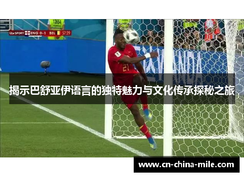 揭示巴舒亚伊语言的独特魅力与文化传承探秘之旅