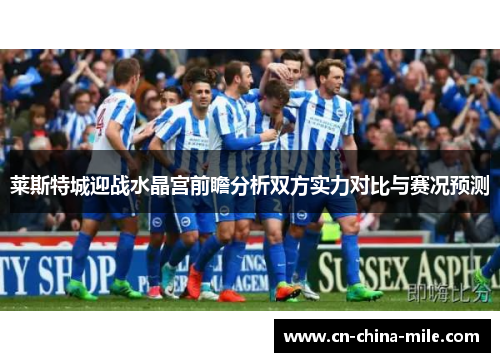 莱斯特城迎战水晶宫前瞻分析双方实力对比与赛况预测