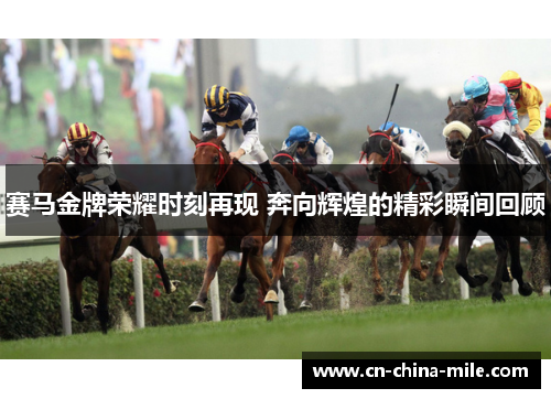赛马金牌荣耀时刻再现 奔向辉煌的精彩瞬间回顾
