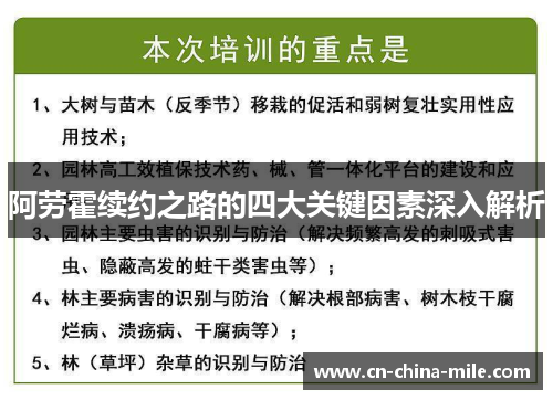 阿劳霍续约之路的四大关键因素深入解析